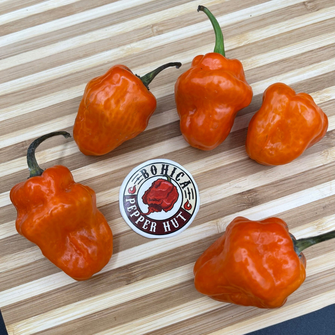 Habanero Orange - Seeds