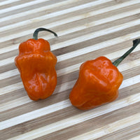 Thumbnail for Habanero Orange - Seeds