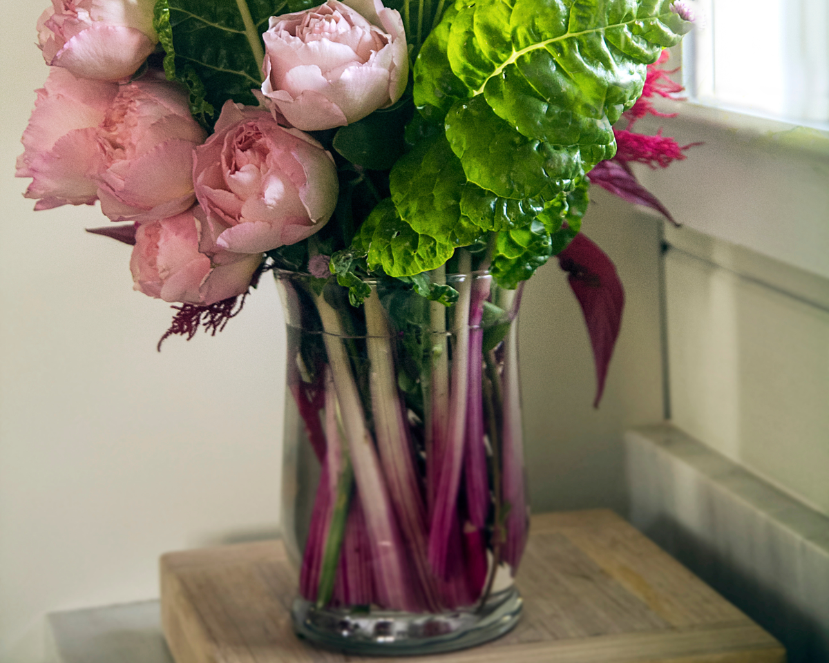 Peppermint Swiss Chard Seeds