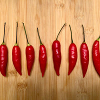 Thumbnail for Aji Omnicolor Pepper Seeds