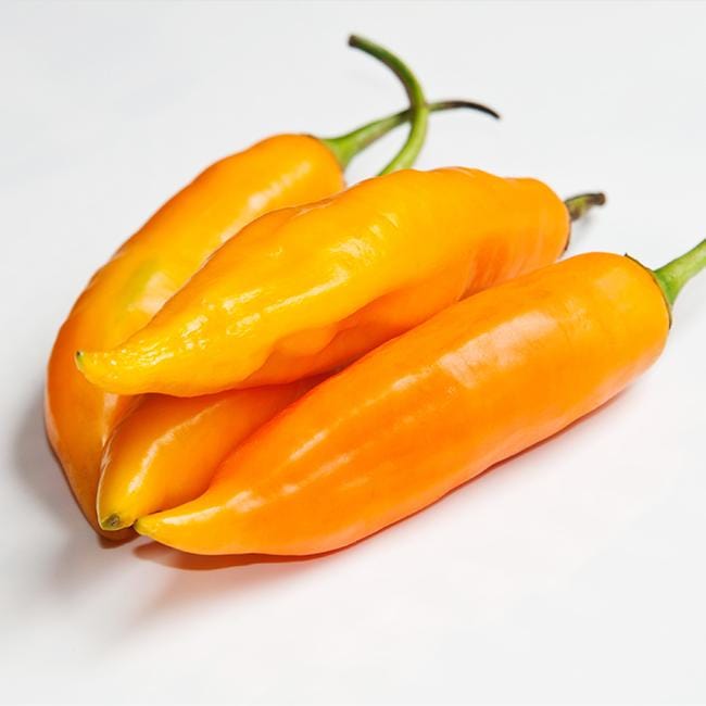 Aji Amarillo Pepper Seeds