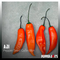 Thumbnail for Aji Pepper Seed Collection