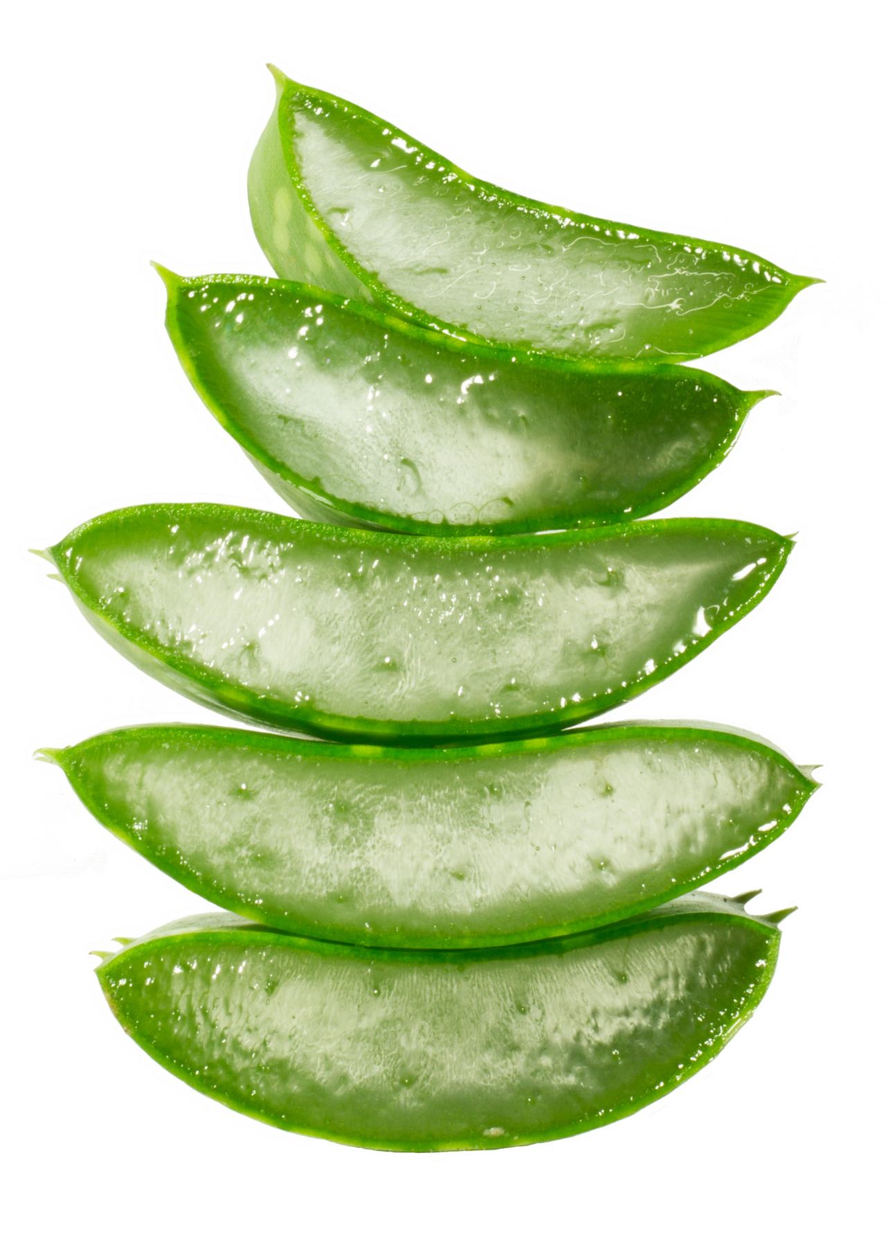 Aloe (Aloe vera)