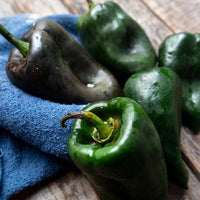 Ancho Poblano Pepper Seeds