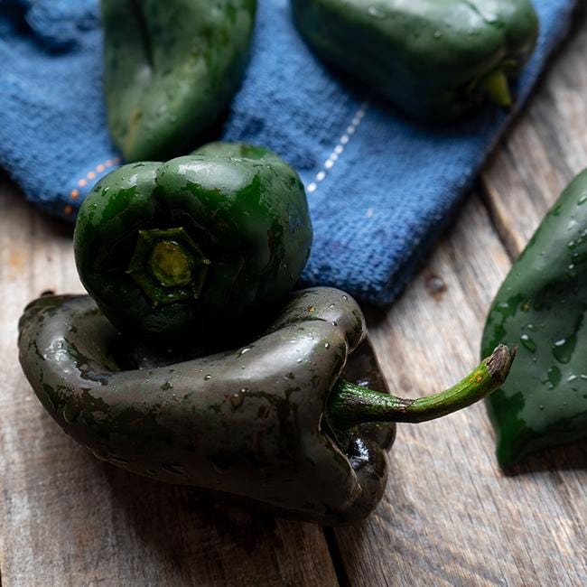 Ancho Poblano Pepper Seeds