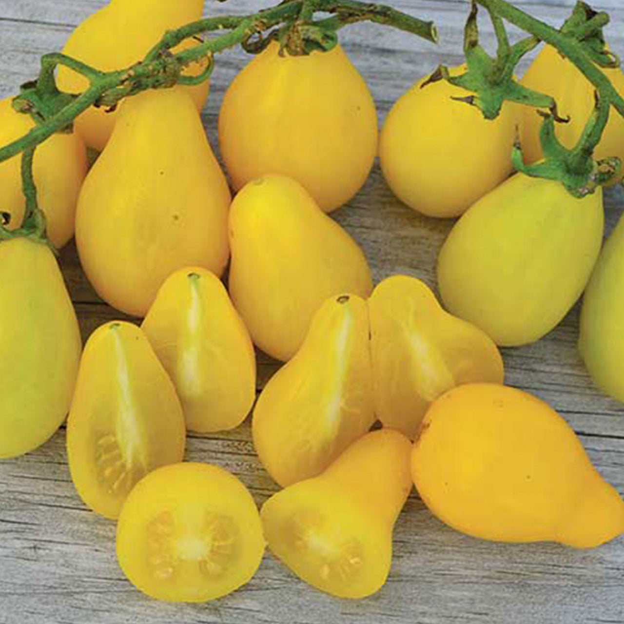 Beam's Yellow Pear Tomato Seeds