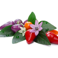 Bolivian Rainbow Pepper Seeds