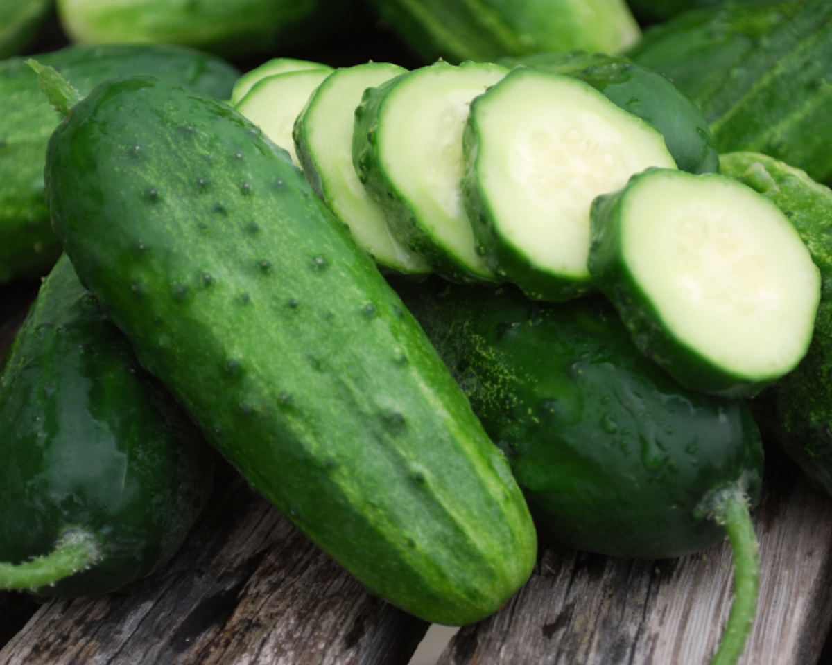 Boston Pickling Cucumber Seeds