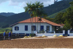Brazil Decaf