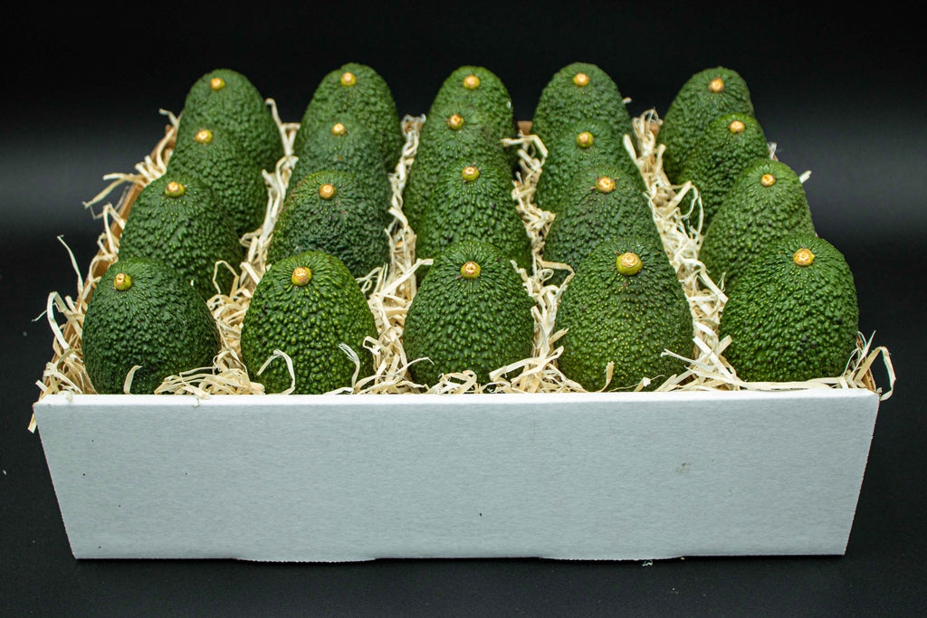 24 Large Hass Avocados Online Gift Box