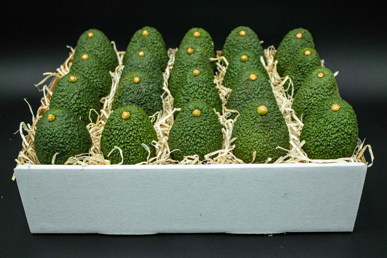 24 Large Hass Avocados Online Gift Box