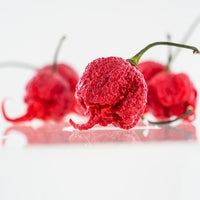 Carolina Reaper Pepper Seeds | HP22B