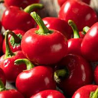 Thumbnail for Cherry Hot Pepper Seeds