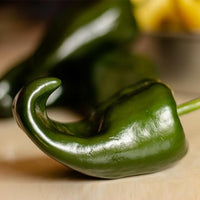 Thumbnail for Chile Relleno Hot Pepper Seeds