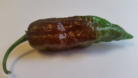 Thumbnail for Chocolate Fatalii  - Seeds