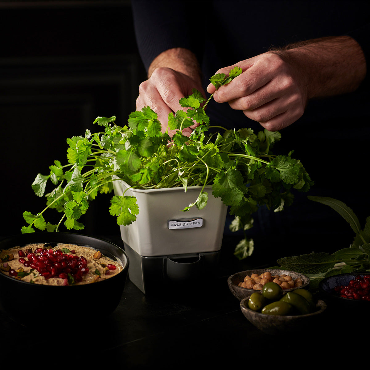Cole & Mason Burwell Self-Watering Potted Herb Keeper