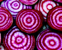 Chioggia Beet Seeds