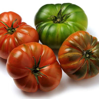 Thumbnail for Costoluto Genovese Tomato Seeds