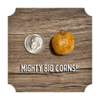 CRUNCHIN' CORN - VARIETY PACK