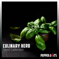 Thumbnail for Culinary Herb Seed Collection