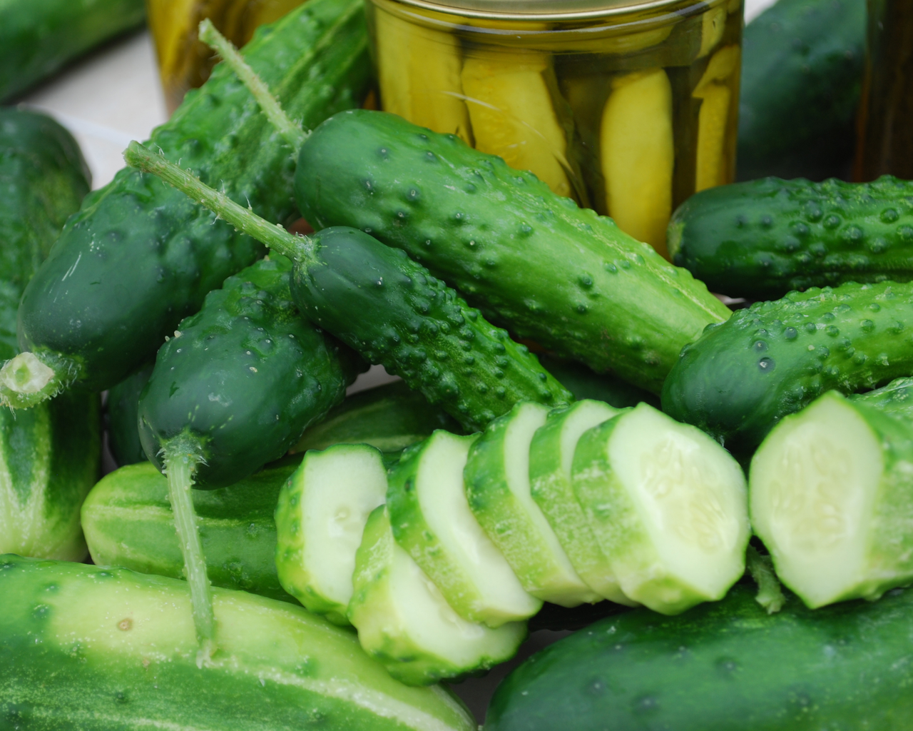 Early Fortune Cucumber Seeds