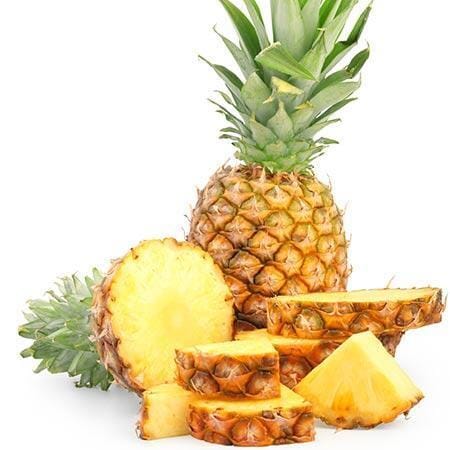 Sugar Loaf Pineapple Plant