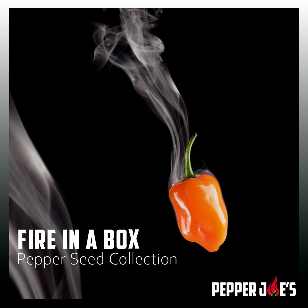 Fire in a Box Pepper Seed Collection