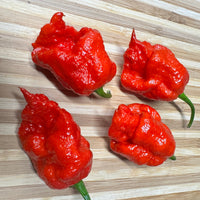 Apocalypse Scorpion - Seeds