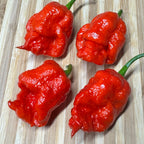 Apocalypse Scorpion - Seeds
