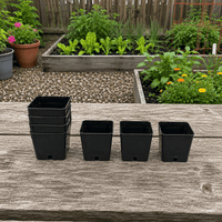 Square Plastic Pots - Anderson 2