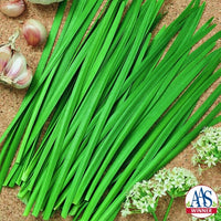 Garlic Chive Seeds, Geisha