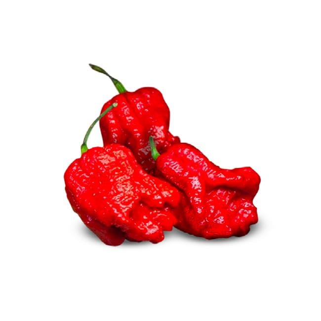 Genghis Khan Brain Pepper Seeds