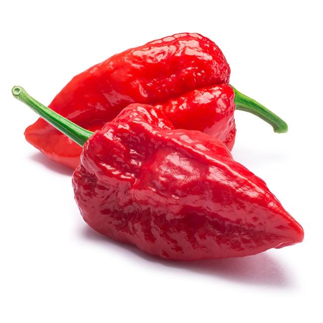 Ghost Pepper Seeds