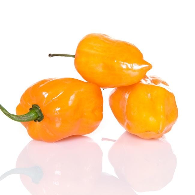 Golden Habanero Pepper Seeds