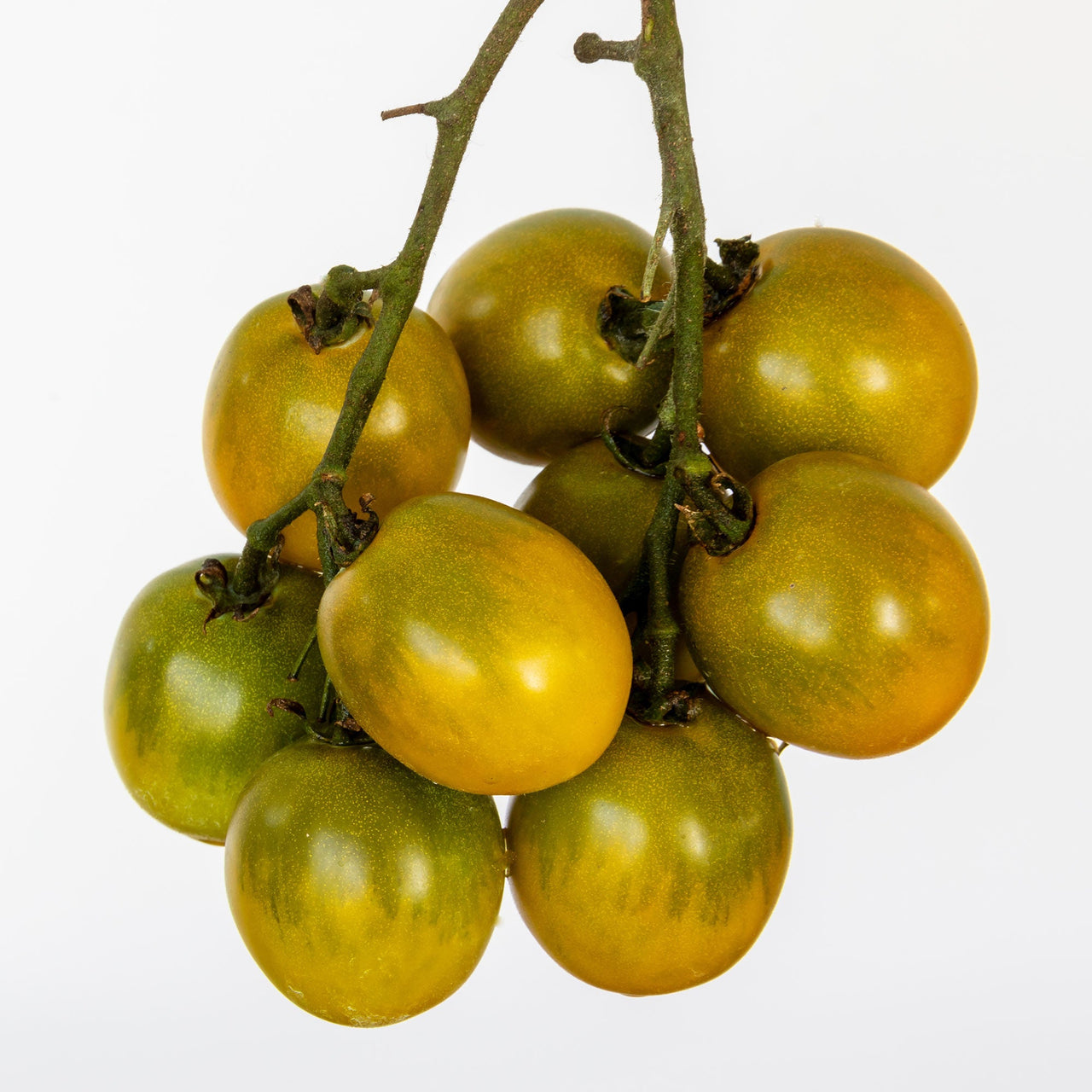 Green Grape Tomato Seeds