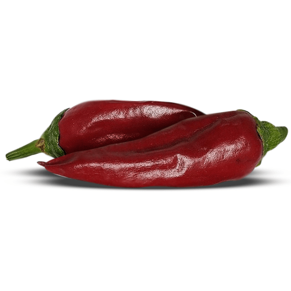 Guajillo Pepper Seeds