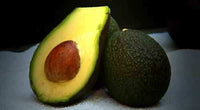 Buy Hass Avocados Online - 12 Large Fresh California Hass Avocados