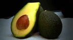 24 Large Hass Avocados Online Gift Box