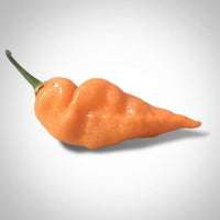 Thumbnail for Habanada Habanero Pepper Seeds