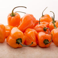 Thumbnail for Habanero Pepper Seeds