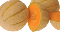 Halona Hybrid Melon Seeds
