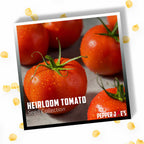 Pepper Joe's Heirloom Tomato Seed Collection