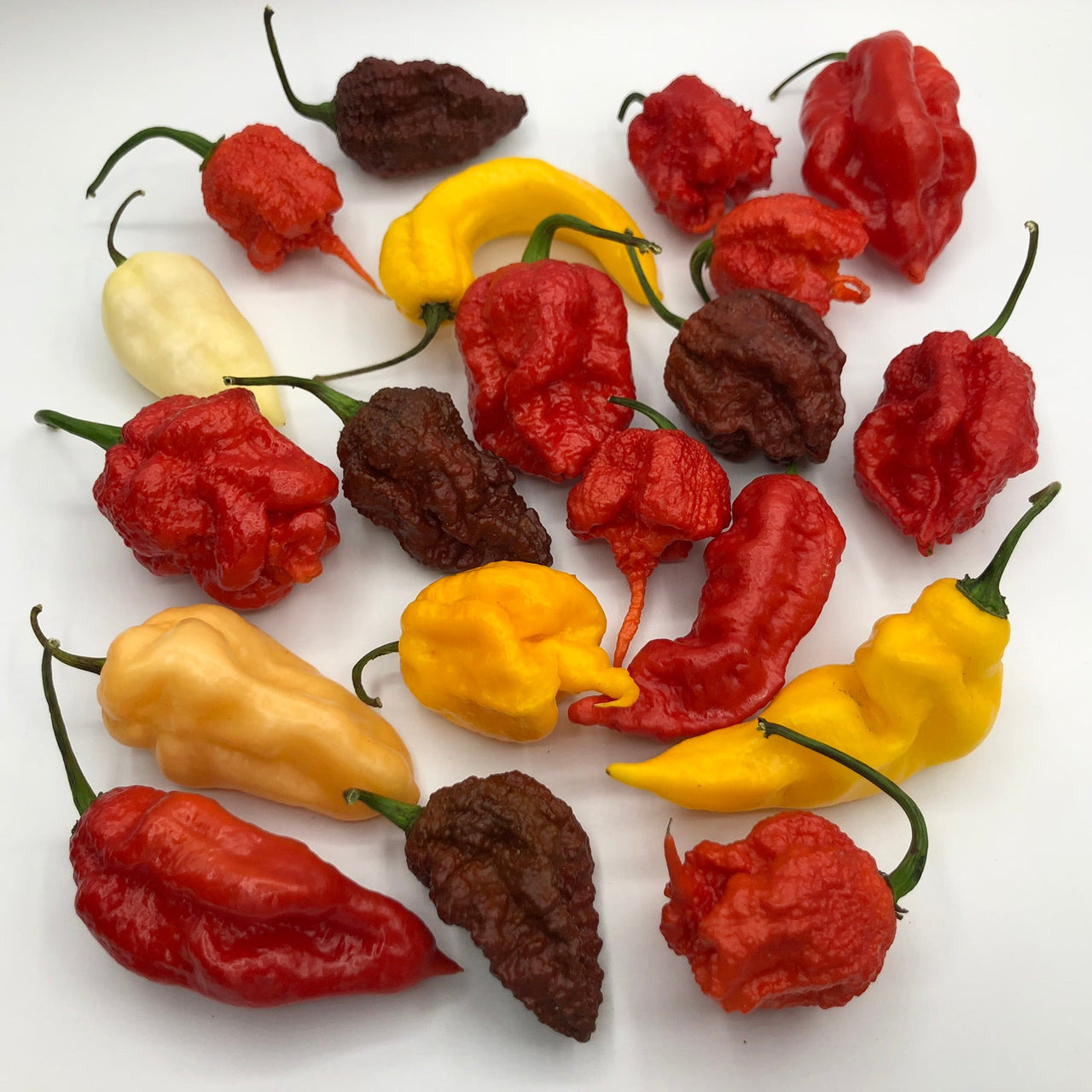 Best Sellers - Super Hot Pepper Seed Combo Pack (12 Varieties) - Seeds