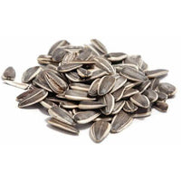 In Shell Roasted Salted Sunflower
