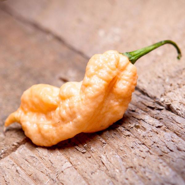 Jay's Peach Ghost Scorpion Pepper Seeds