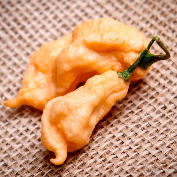 Jay's Peach Ghost Scorpion Pepper Seeds