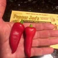 Thumbnail for Jalapeno Pepper - Early Seeds