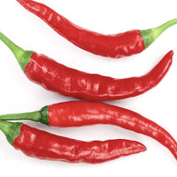 Thumbnail for Long Red Thick Cayenne Pepper Seeds