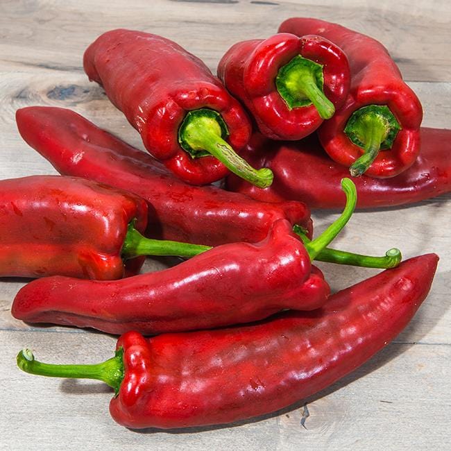 Marconi Italian Pepper Seeds