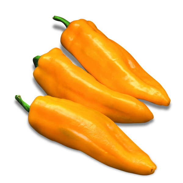 Marconi Golden Pepper Seeds